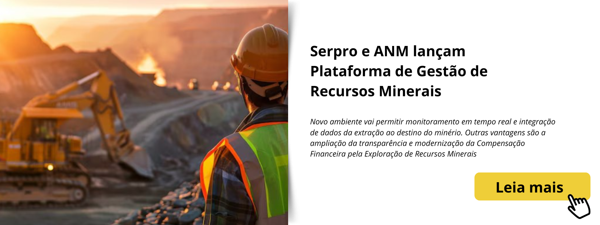 Anm, Serpro