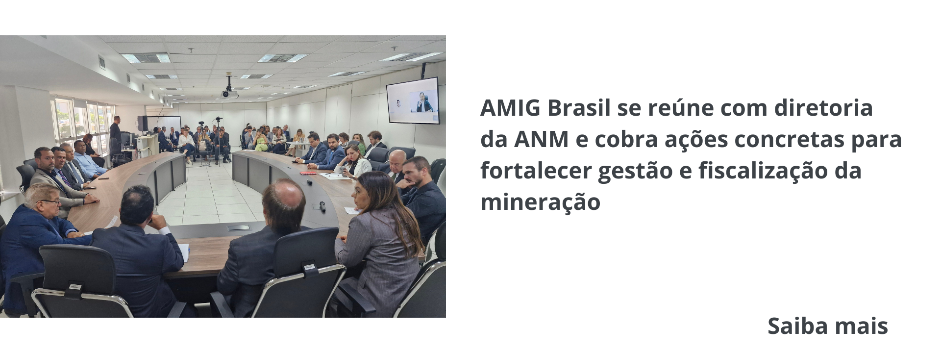 Reunião AMIG Brasil e ANM